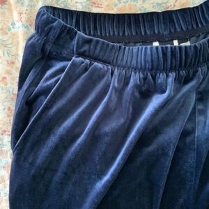 Lands' End Petite Large Navy Velvet elastic pants